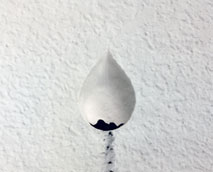 gota