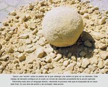 bolaycascote
